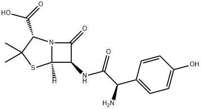 Amoxicilina