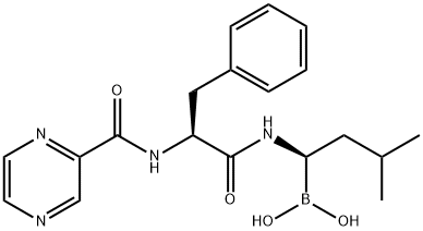 Bortezomibe
