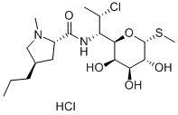 Cloridrato de Clindamicina