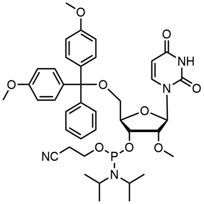 Fosforamidita DMT-2'O-Metil-rU