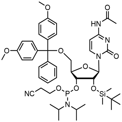 DMT-2′O-TBDMS-rC(ac) Fosforamidita