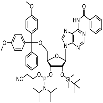 N-Benzoil-5'-O-(4,4-Dimetoxitritil)-2'-O-[(terc-butil)dimetilsilil]adenosina-3'-(2-cianoetil-N,N-diisopropil)fosforamidita